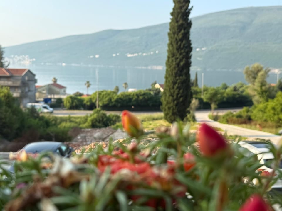 Neighbourhood, Sea view