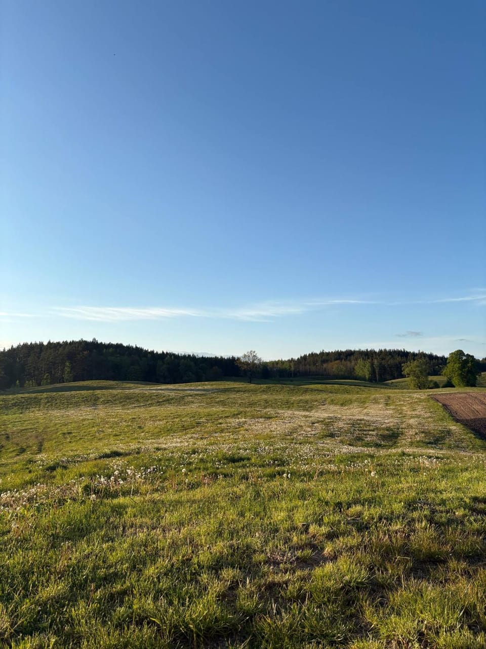 Agroturystyka Żółta Ostoja Farm Stay in Poland