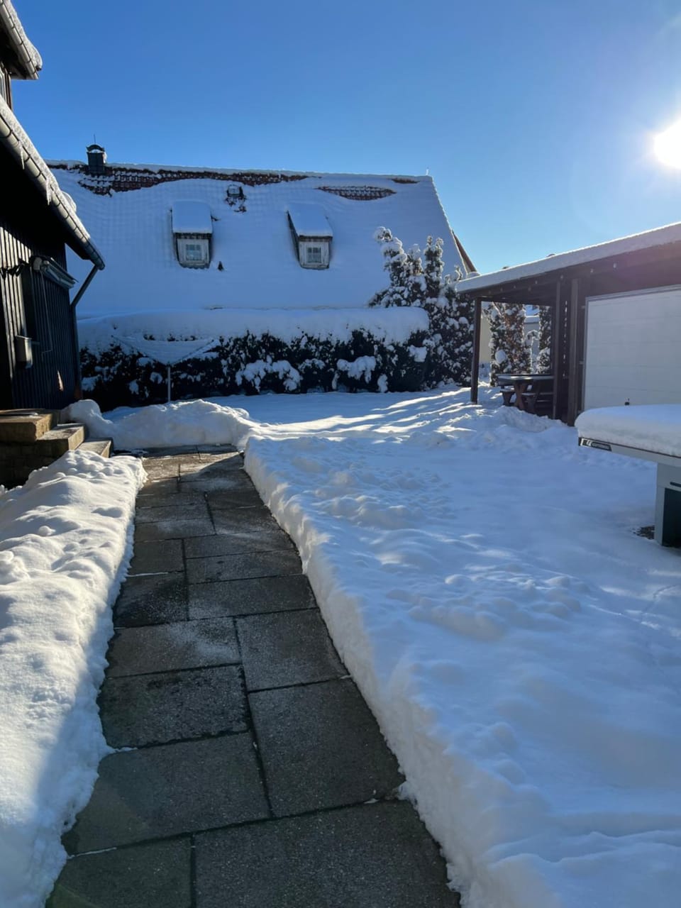 Winter, Garden view