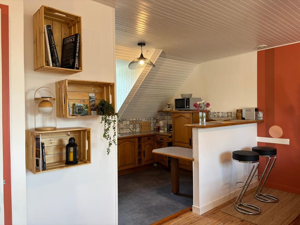 Lounge or bar, Entertainment