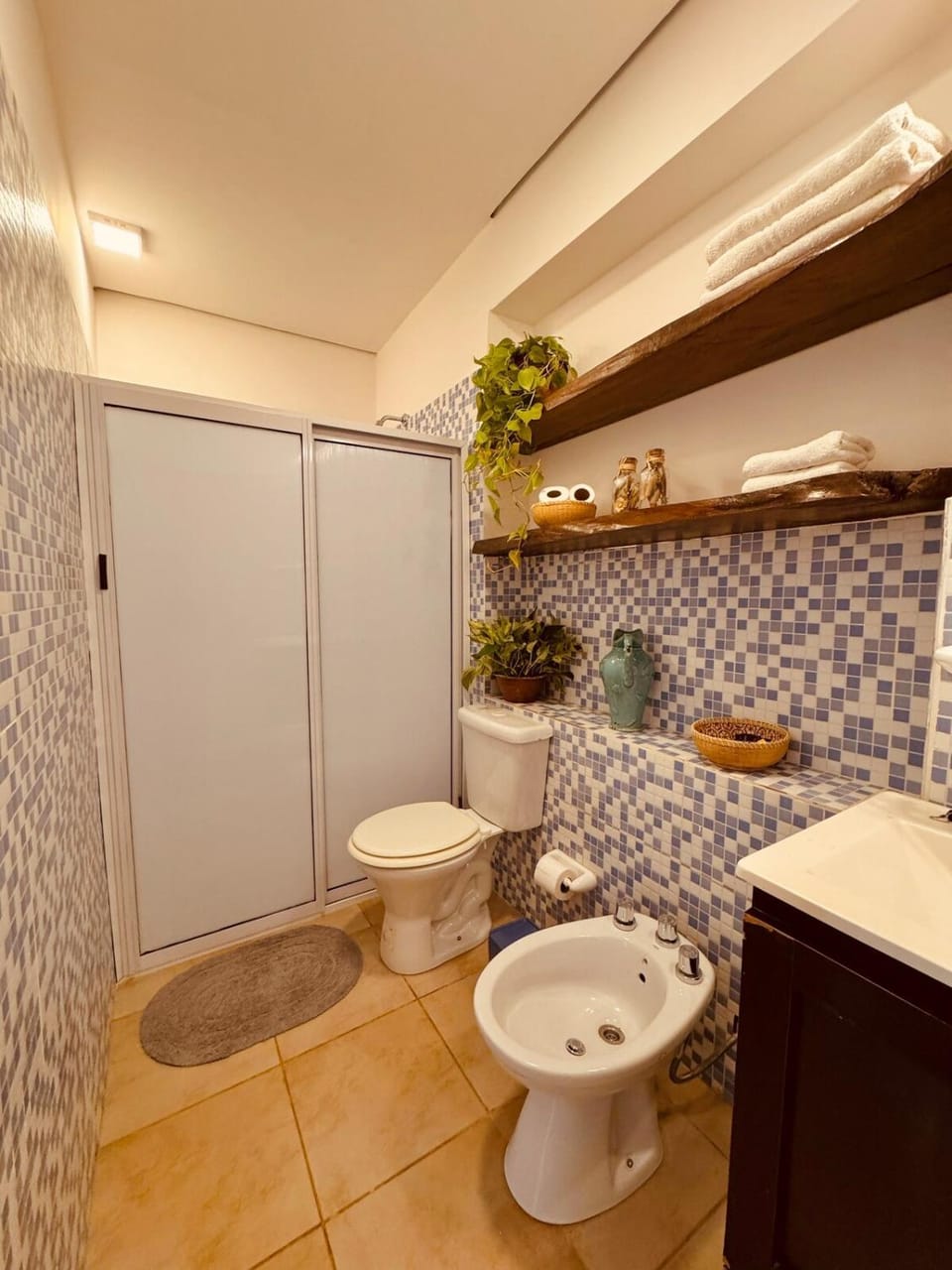 Shower, Toilet, Bathroom, bidet