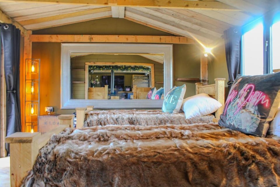 Bed, Photo of the whole room, Bedroom