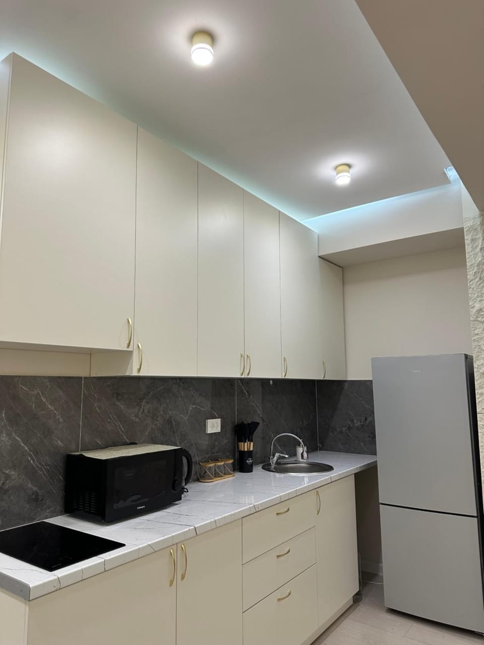 Hotel Apartment in Almaty