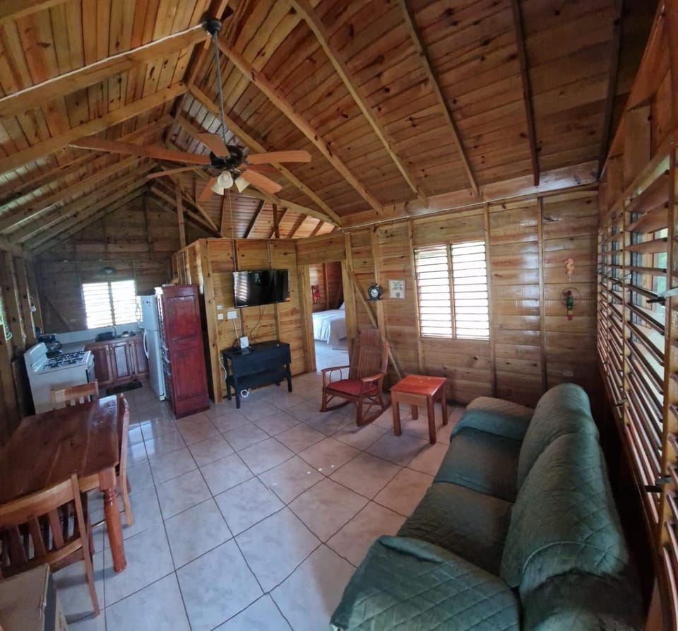 Communal lounge/ TV room, TV and multimedia, Kitchen or kitchenette, Living room, Seating area, Dining area, oven