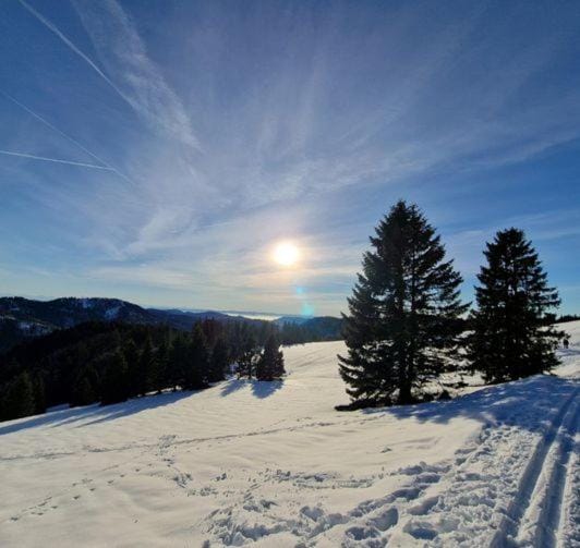 Nearby landmark, Winter