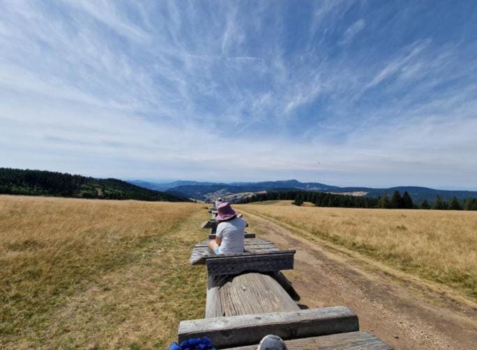 Nearby landmark, Natural landscape