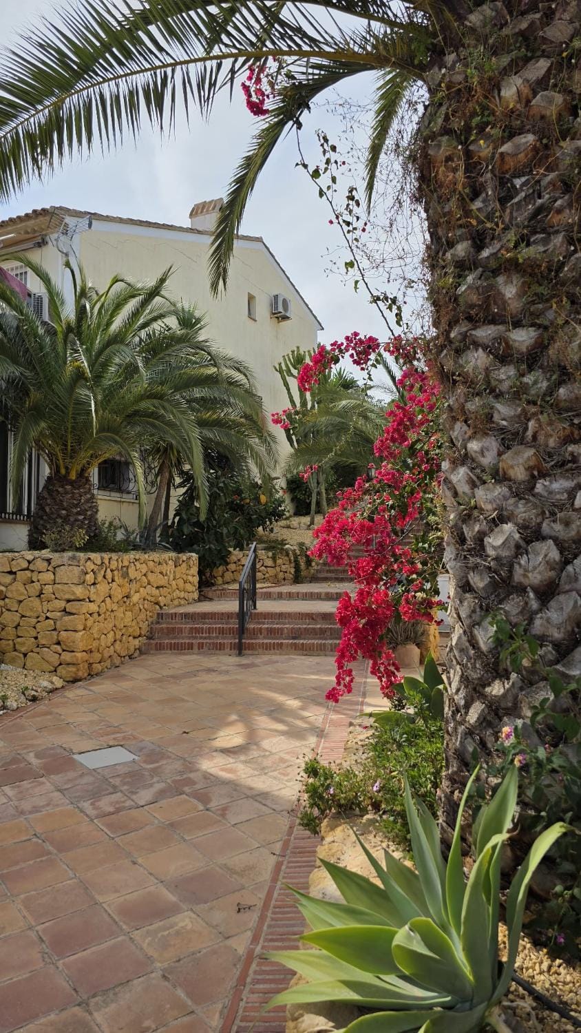Garden, Garden view