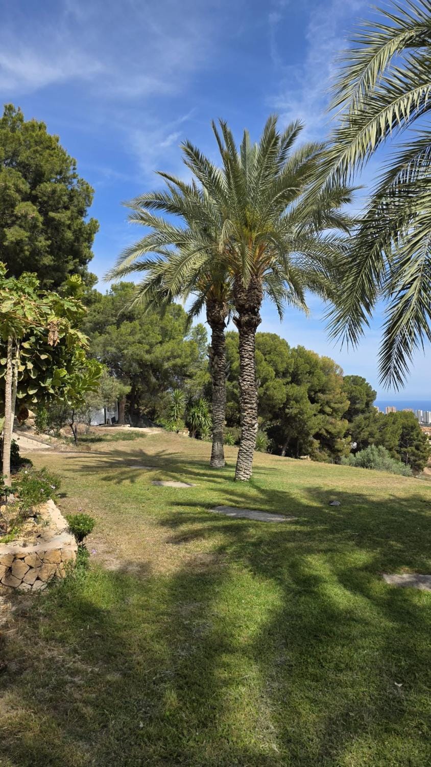 Natural landscape, Garden, Garden view