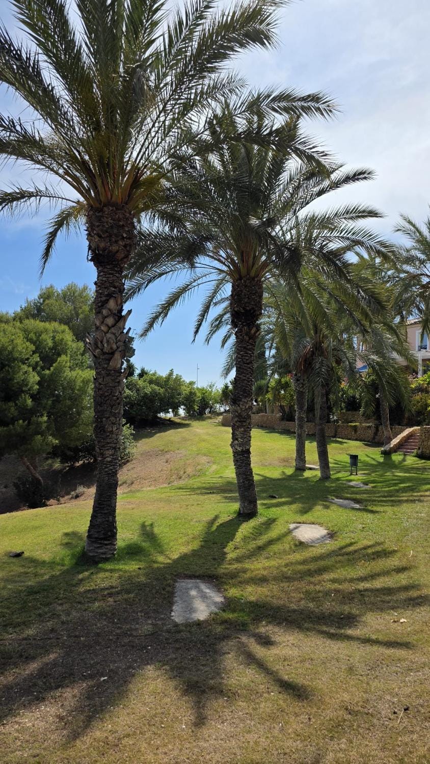 Spring, Natural landscape, Garden, Garden, Garden view