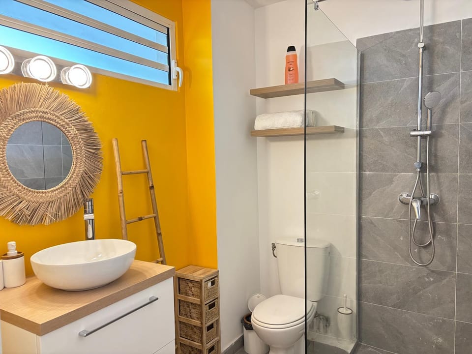Shower, Toilet, Bathroom, towels