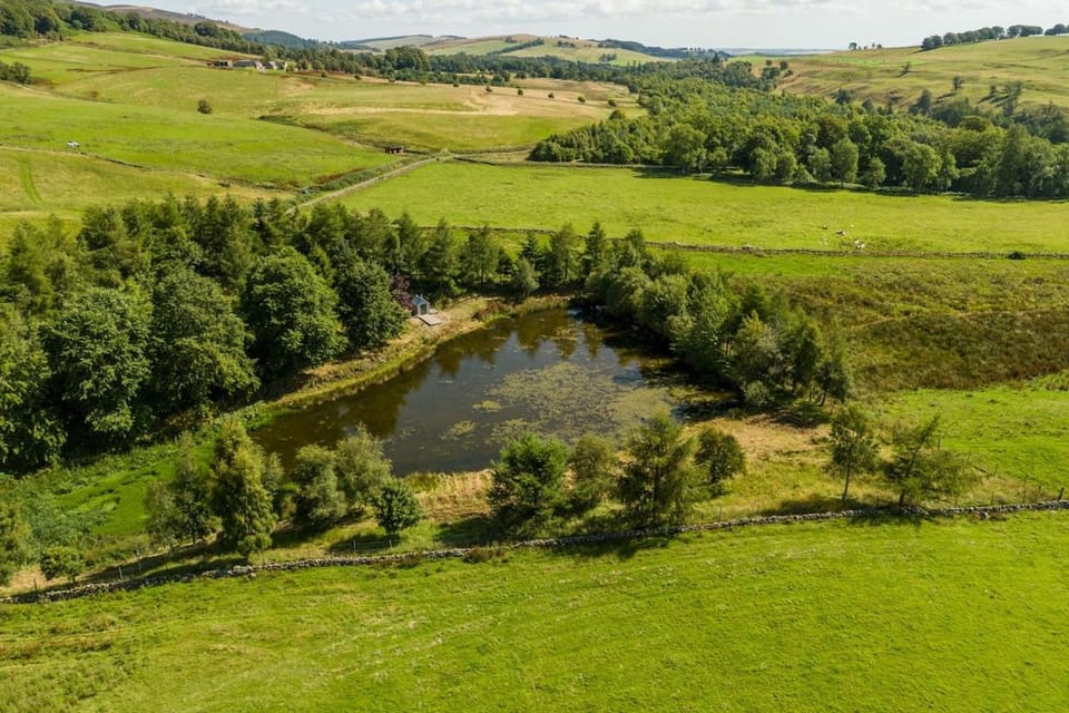 Nearby landmark, Spring, Day, Natural landscape, Bird's eye view, Lake view