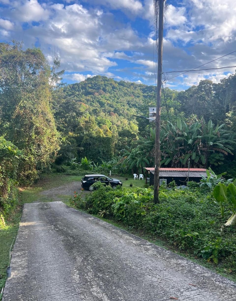Neighbourhood, Natural landscape, Mountain view