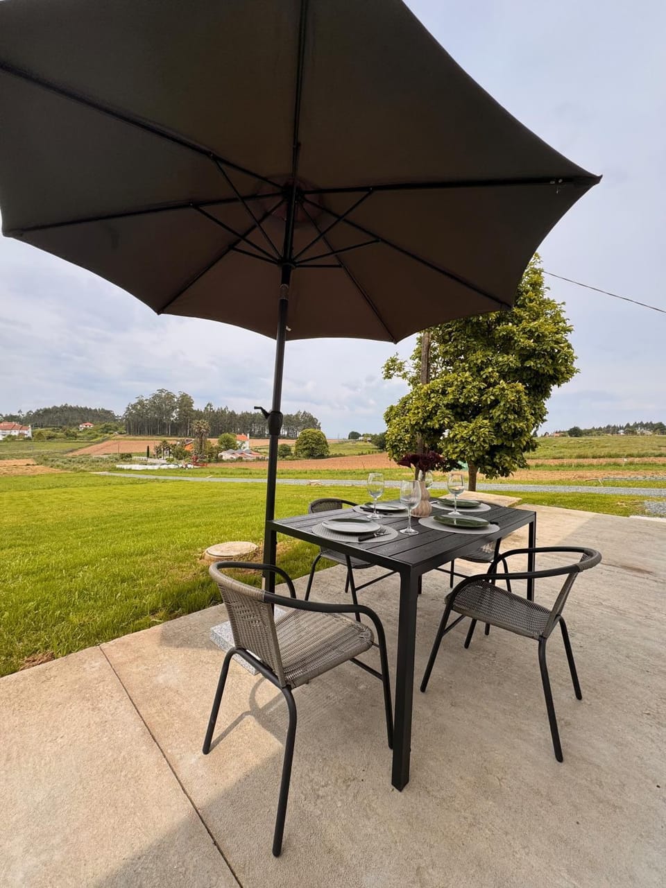 Patio, Natural landscape, Garden, Garden view
