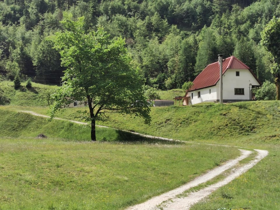 Natural landscape