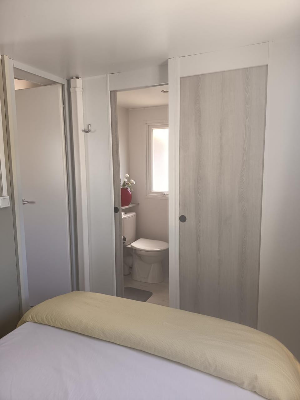 Toilet, Bed, Bathroom, Photo of the whole room, Bedroom, wardrobe
