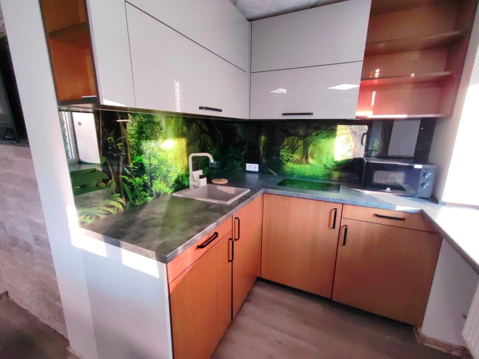 Kitchen or kitchenette, stove