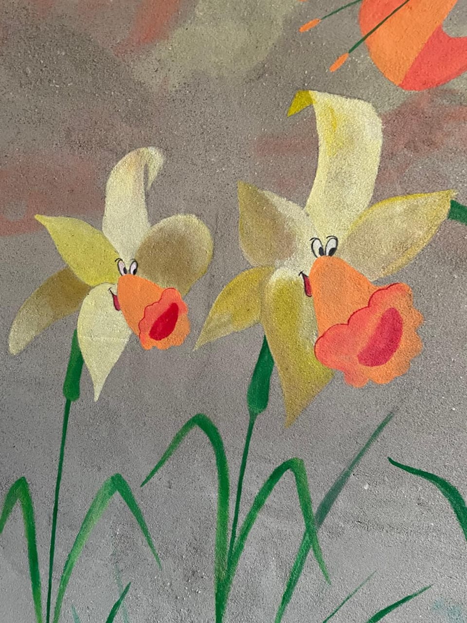 La casa di Alice - Casa Natura Apartment in Senigallia