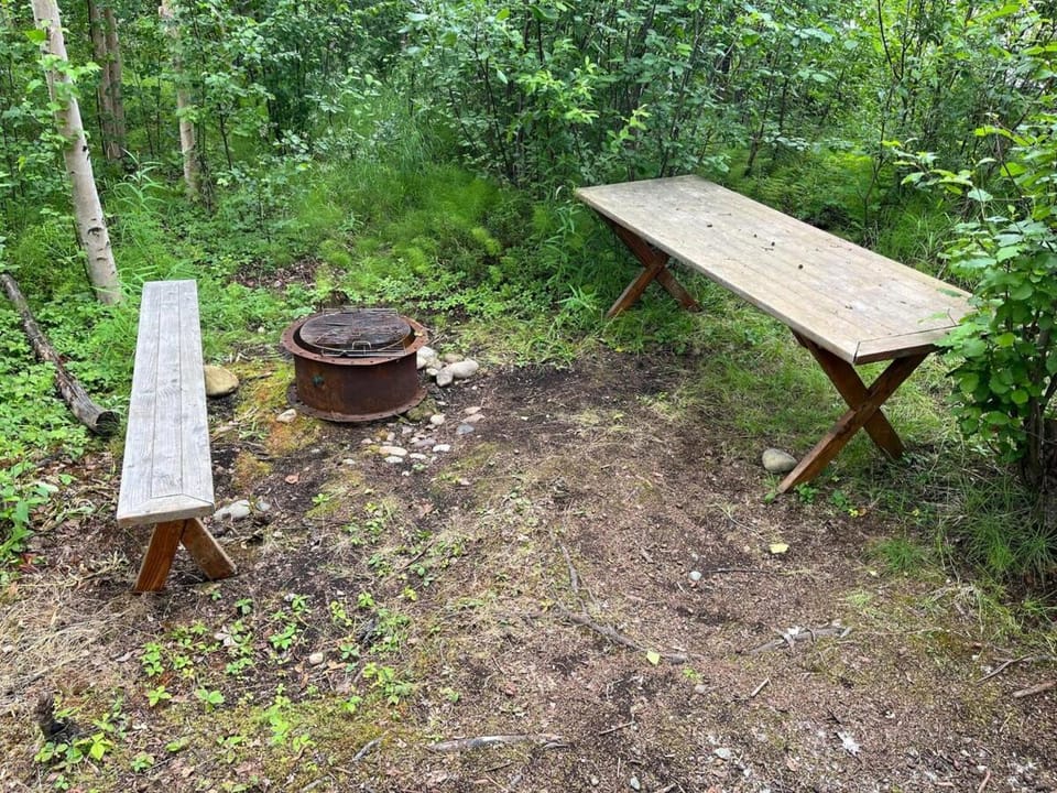 Natural landscape, fireplace