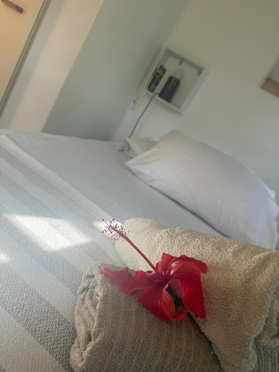 Au coeur du papillon en amoureux piscine à partager Apartment in Leeward Islands