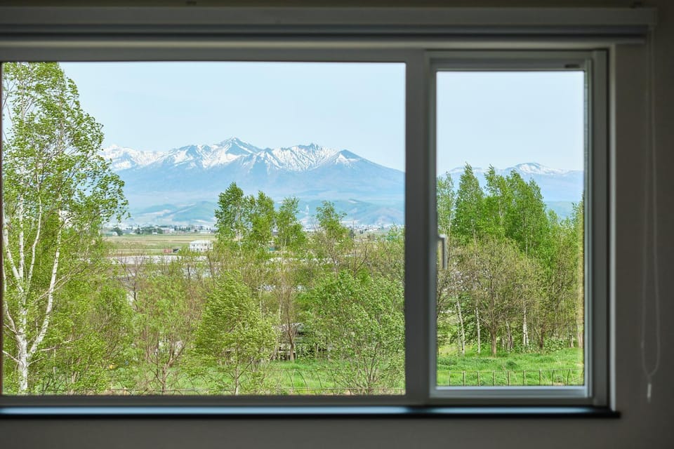 View (from property/room)