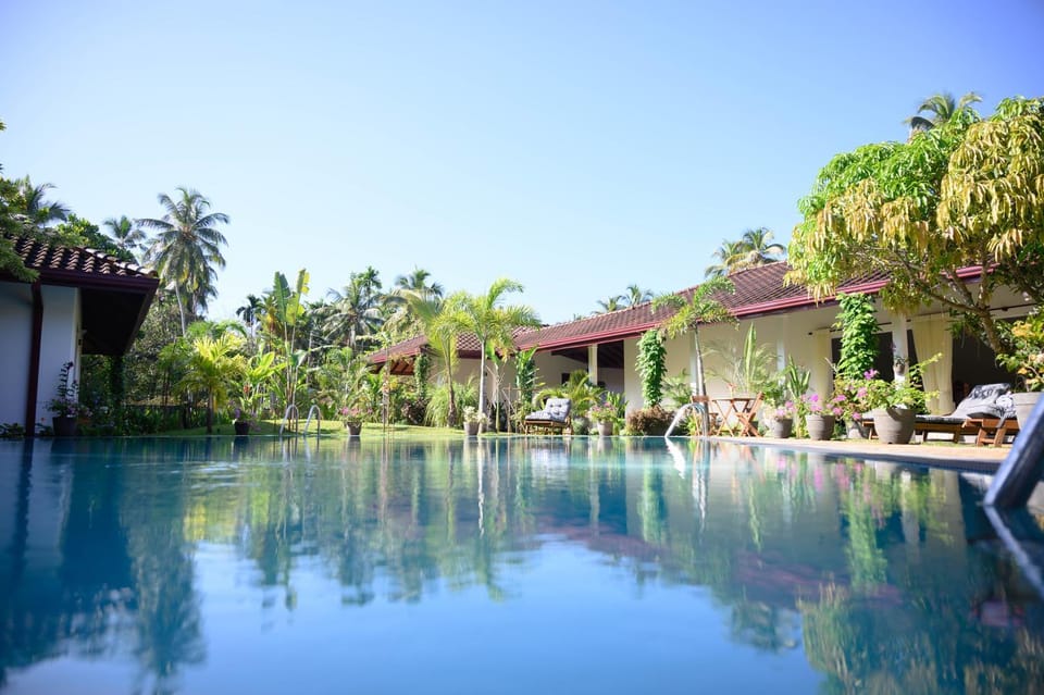 Garden, Garden view, Pool view, Swimming pool, sunbed