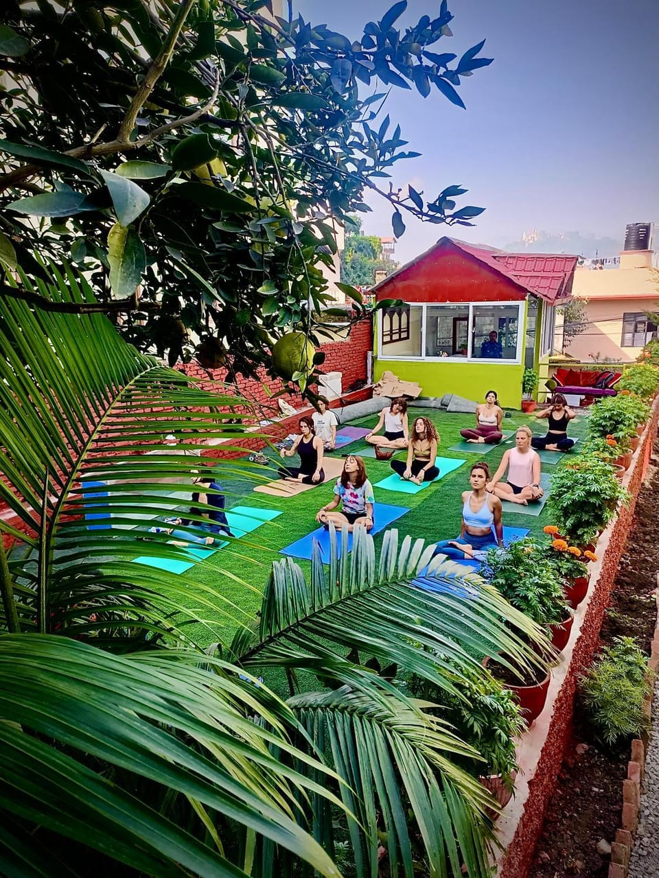 People, Natural landscape, Garden, group of guests