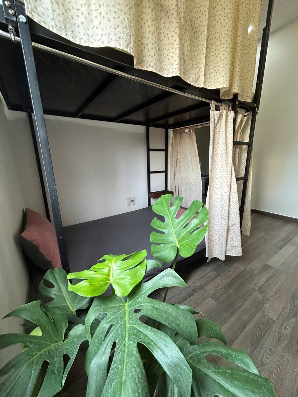 Bed, Photo of the whole room, Bedroom, bunk bed