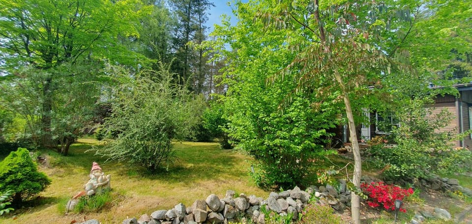 Day, Garden, Garden view