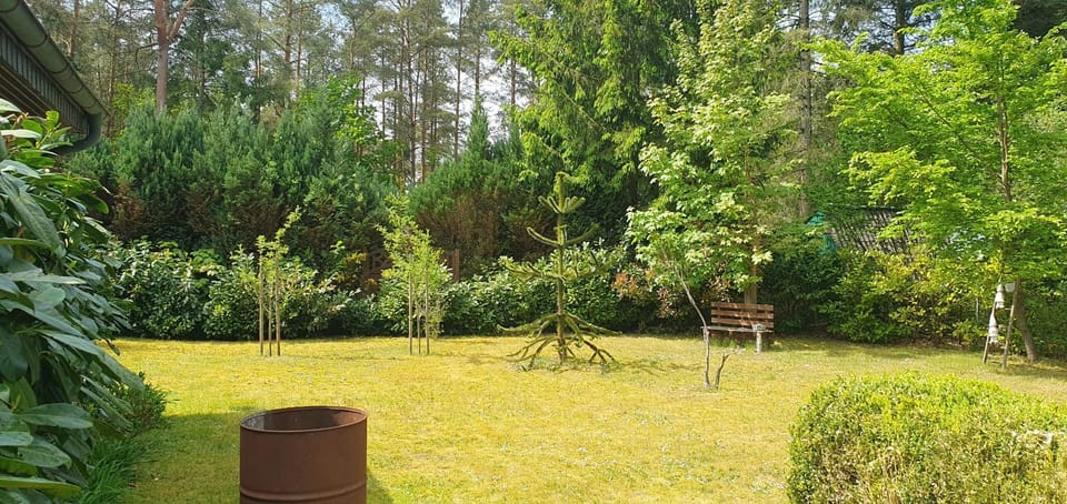 Spring, Day, Garden, Garden view