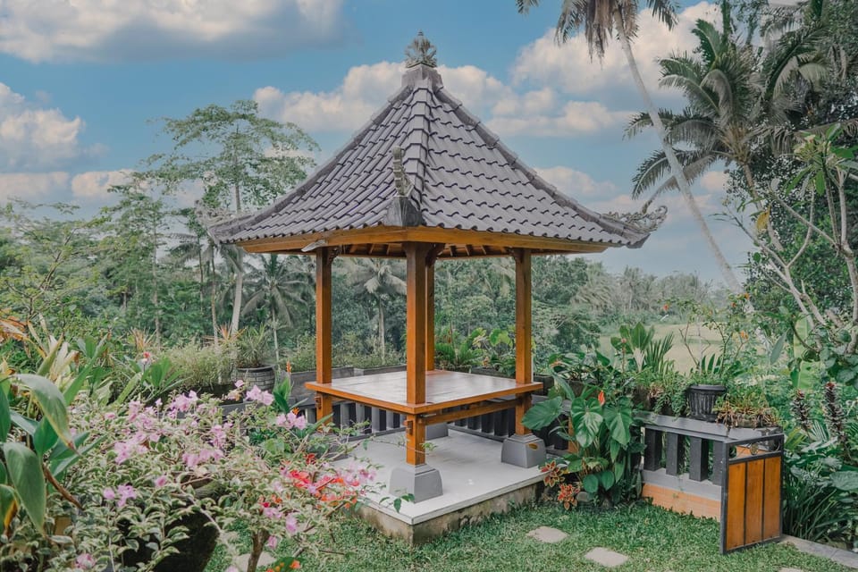Day, Natural landscape, Garden, Garden view