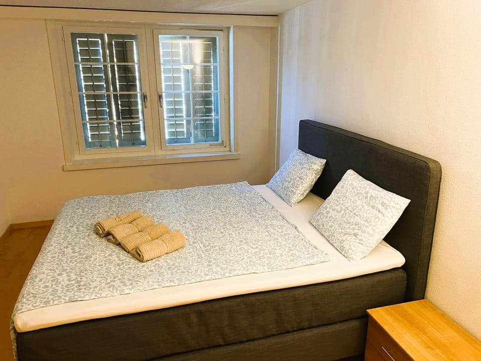 New Cozy 2 room Apartment in Zurich Old Town Center RENN - Self Checkin Apartment in Zurich City