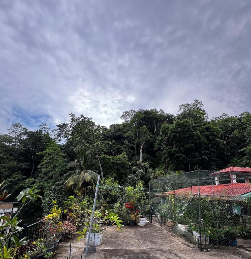 City Hush - Kandy Apartment in Kandy