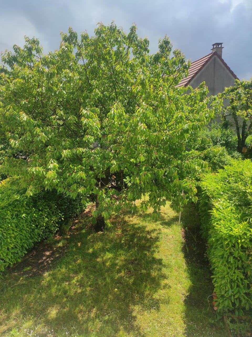 Property building, Garden
