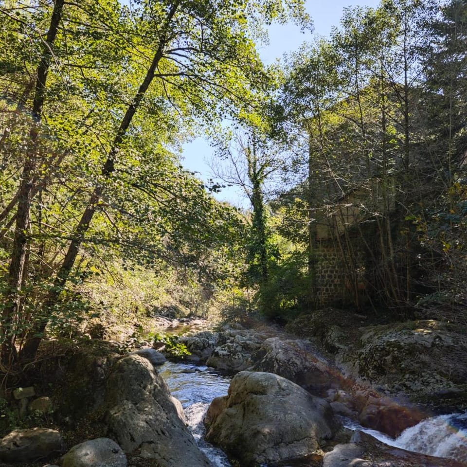 River view
