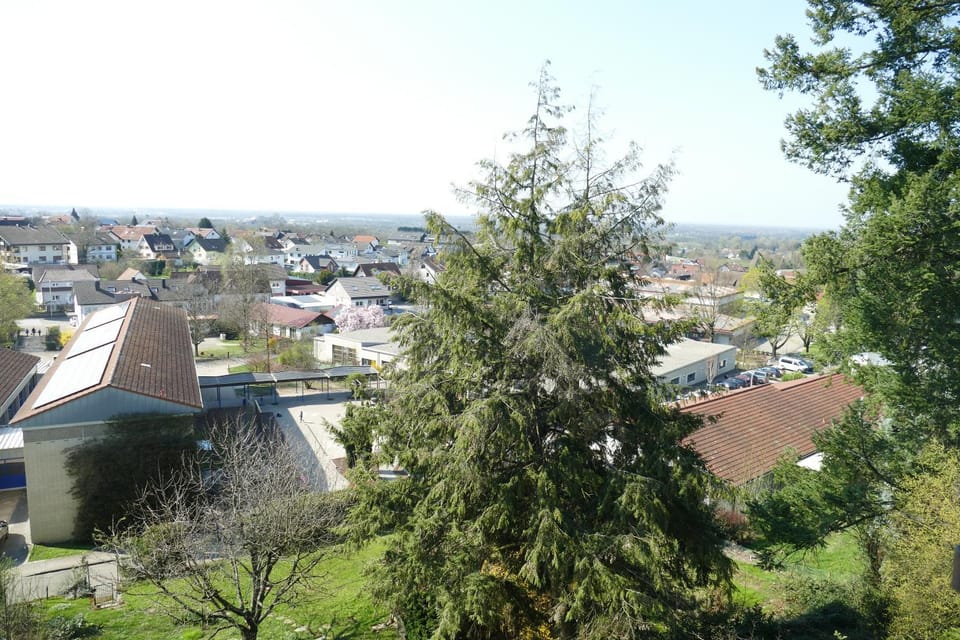 View (from property/room)