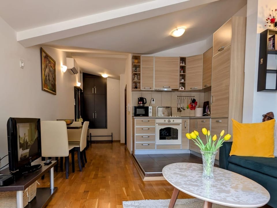 Apartment Bjanka Apartment in Budva