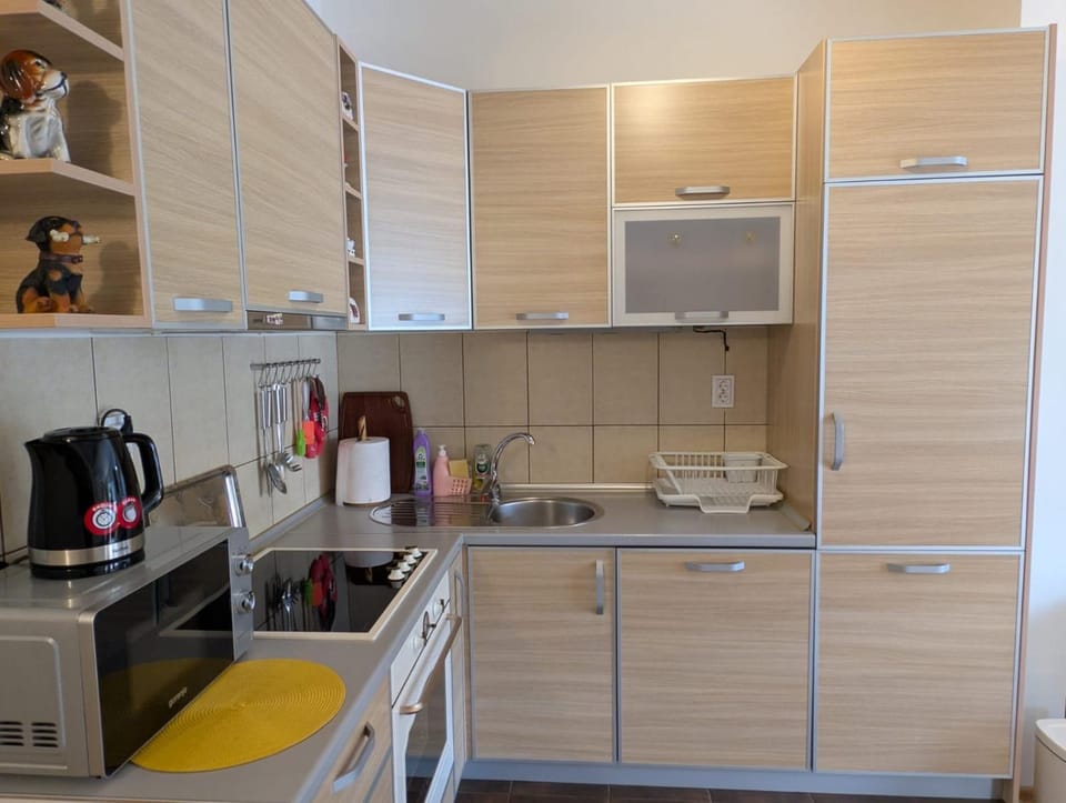 Apartment Bjanka Apartment in Budva