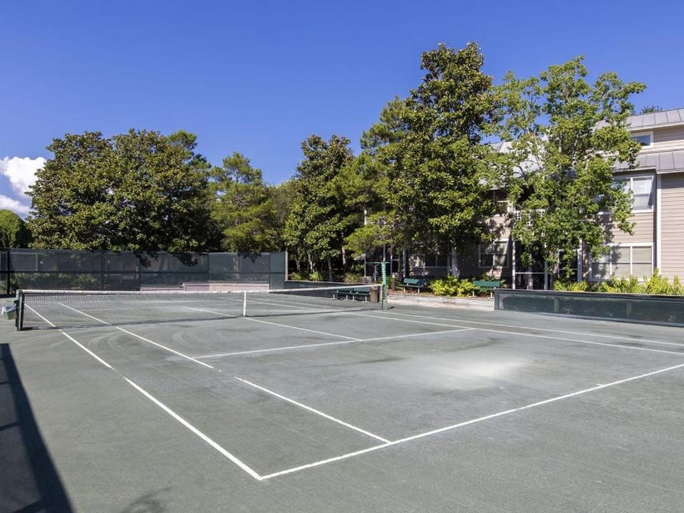 Tennis court