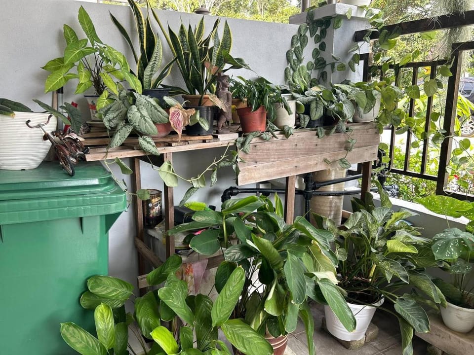 Patio, Day, Garden, View (from property/room), Balcony/Terrace, Garden view