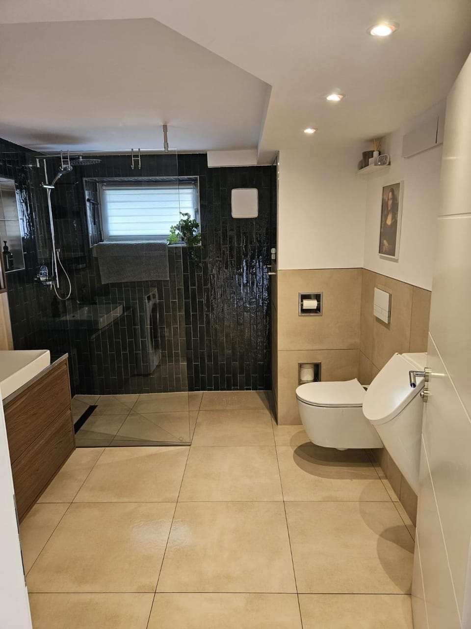 Shower, Toilet, towels