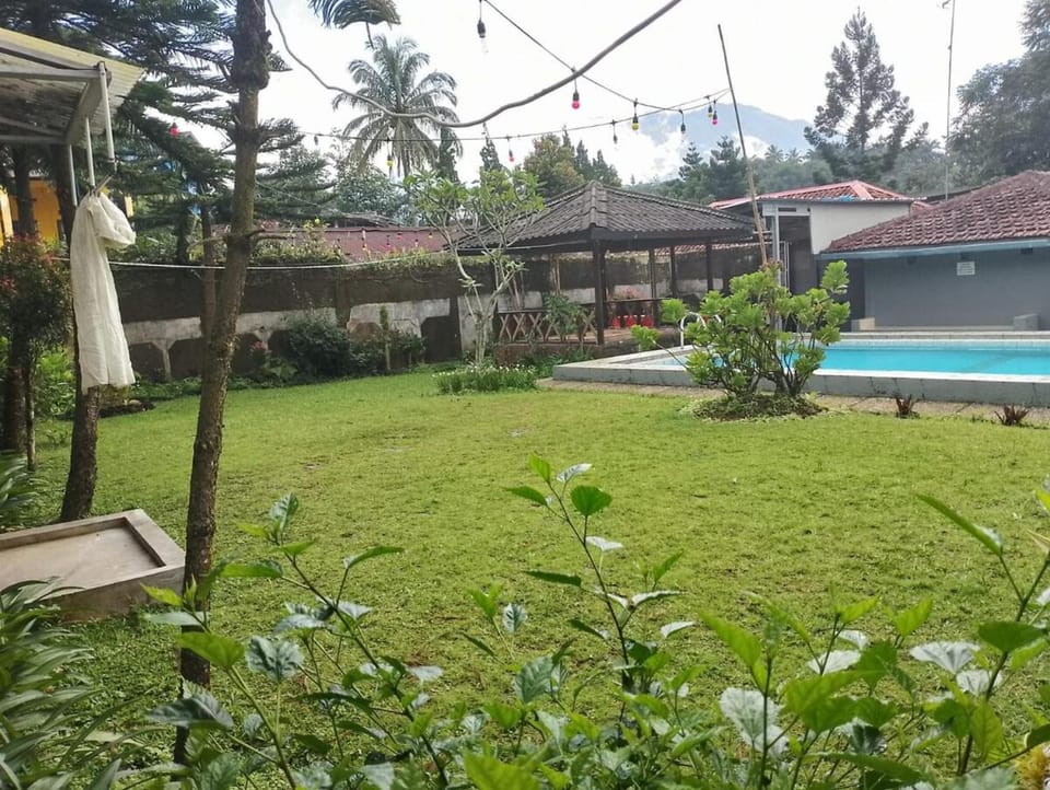 Day, Garden view, Pool view, Swimming pool