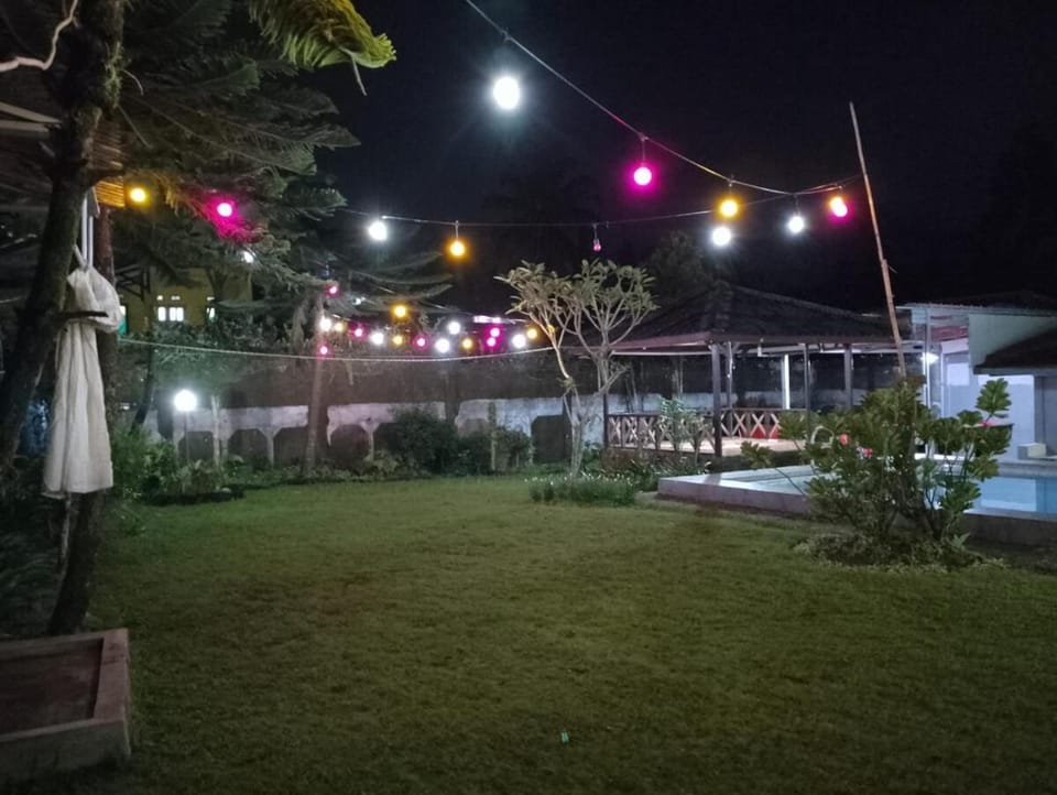 Night, Garden, Garden view