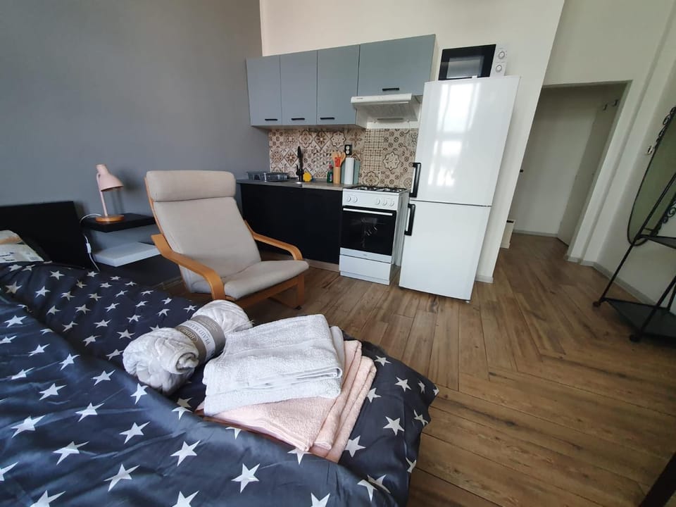 Bed, Kitchen or kitchenette, Seating area, minibar, oven, stove, towels, wardrobe
