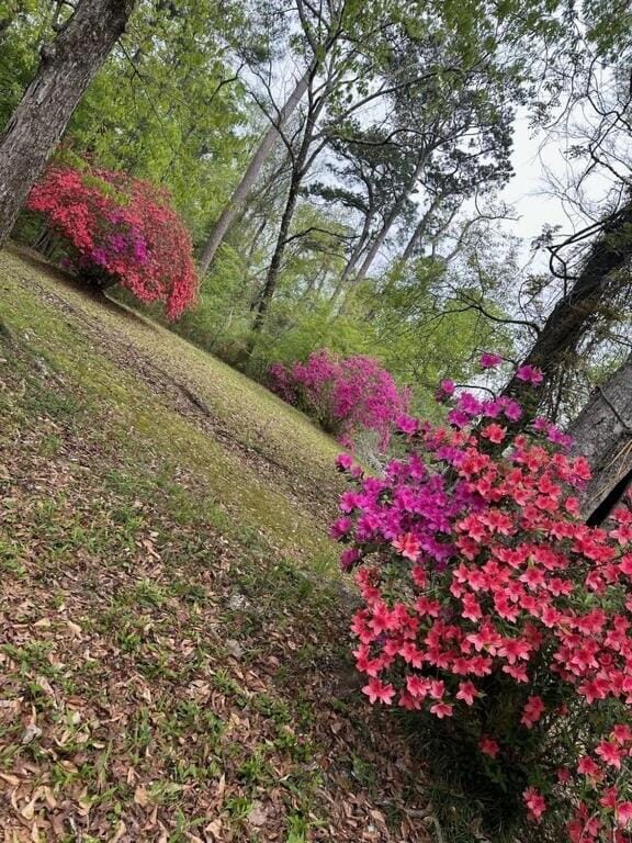 Spring, Day, Natural landscape, Garden, Garden view