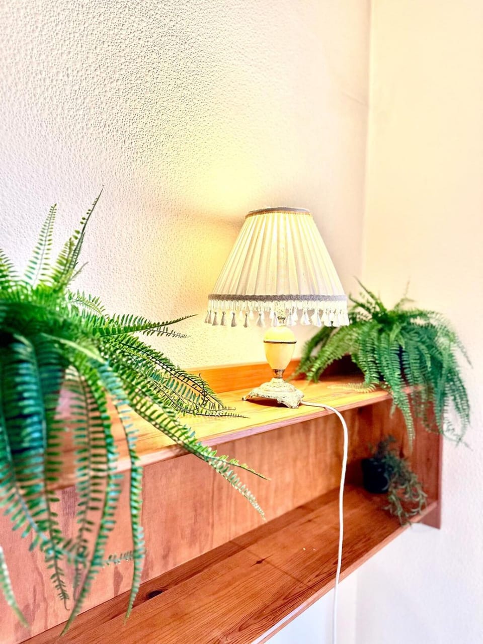 Welcome to Your Comfy Stay in Upper Stoke,Coventry House in Coventry