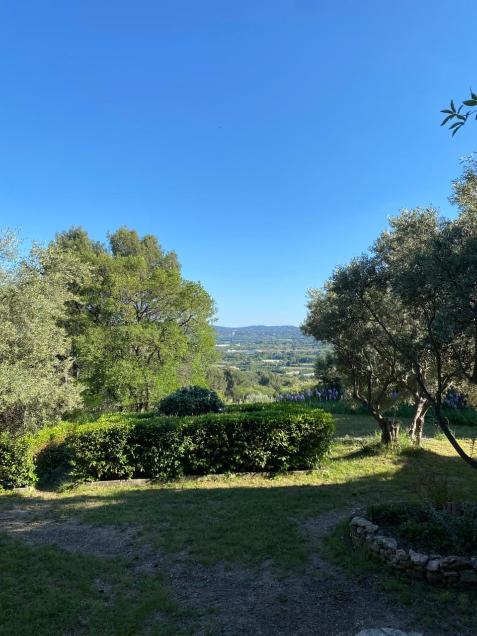 Garden view
