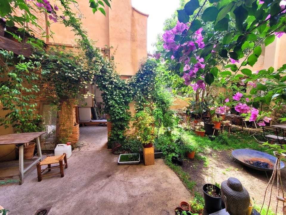 Patio, Spring, Garden, Garden, Garden view