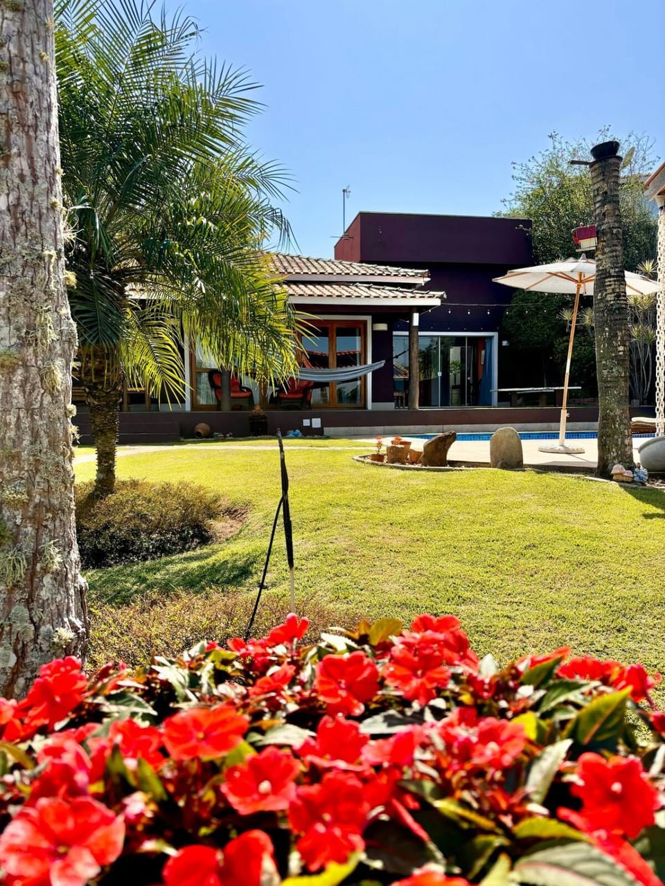 Garden view
