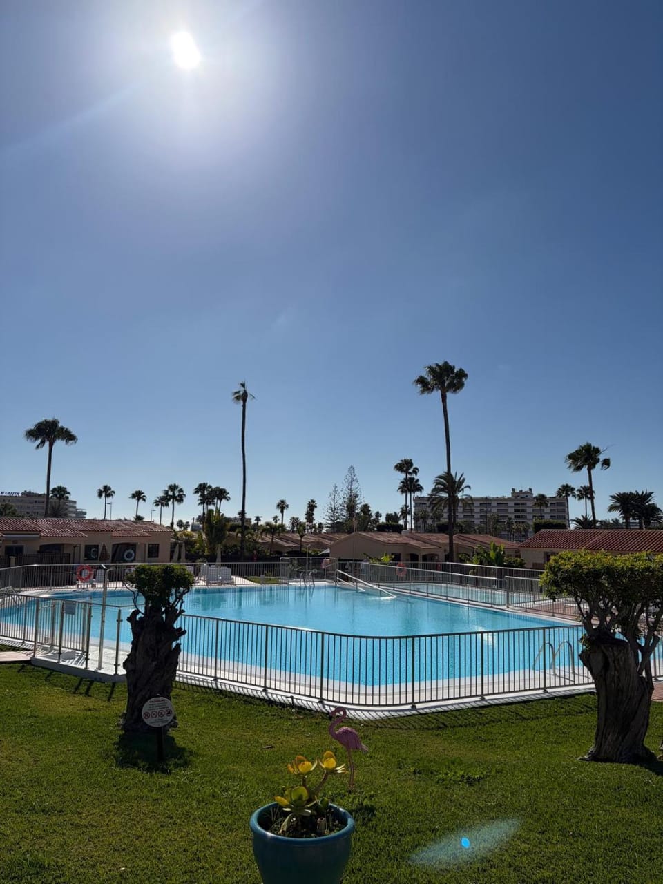 Garden, Pool view