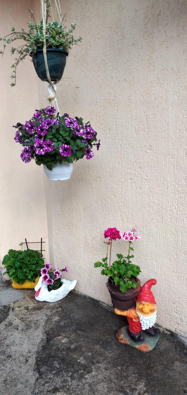 Agica apartment Apartment in Kotor Municipality
